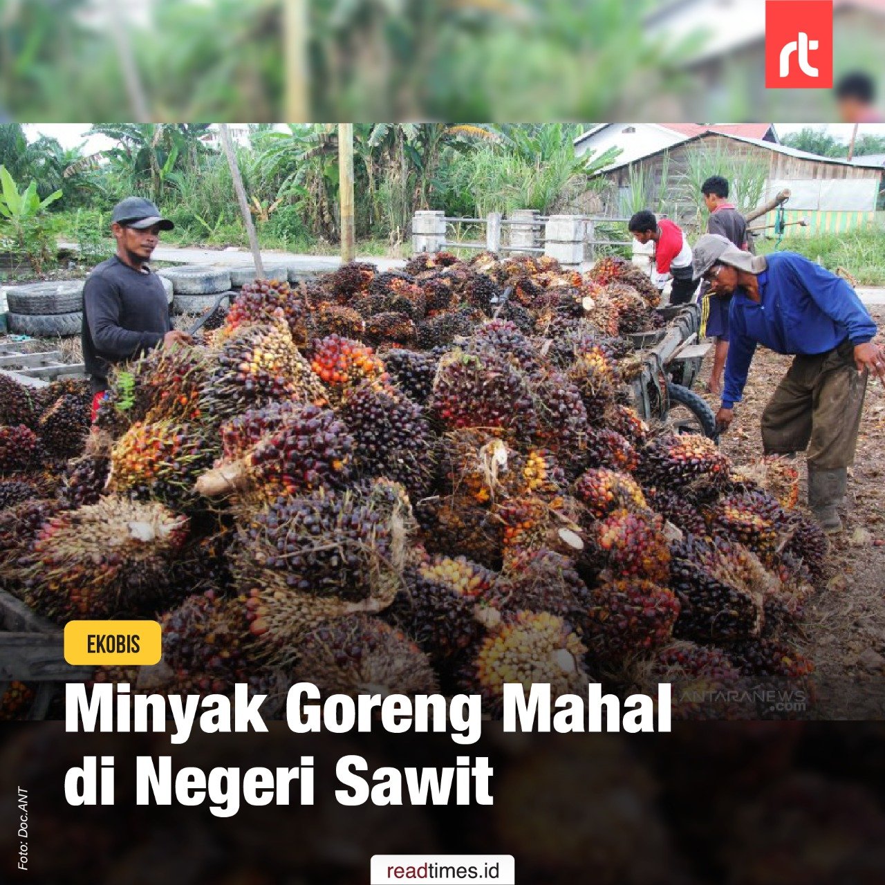 Minyak Goreng Mahal Di Negeri Sawit – RT – Readtimes.id